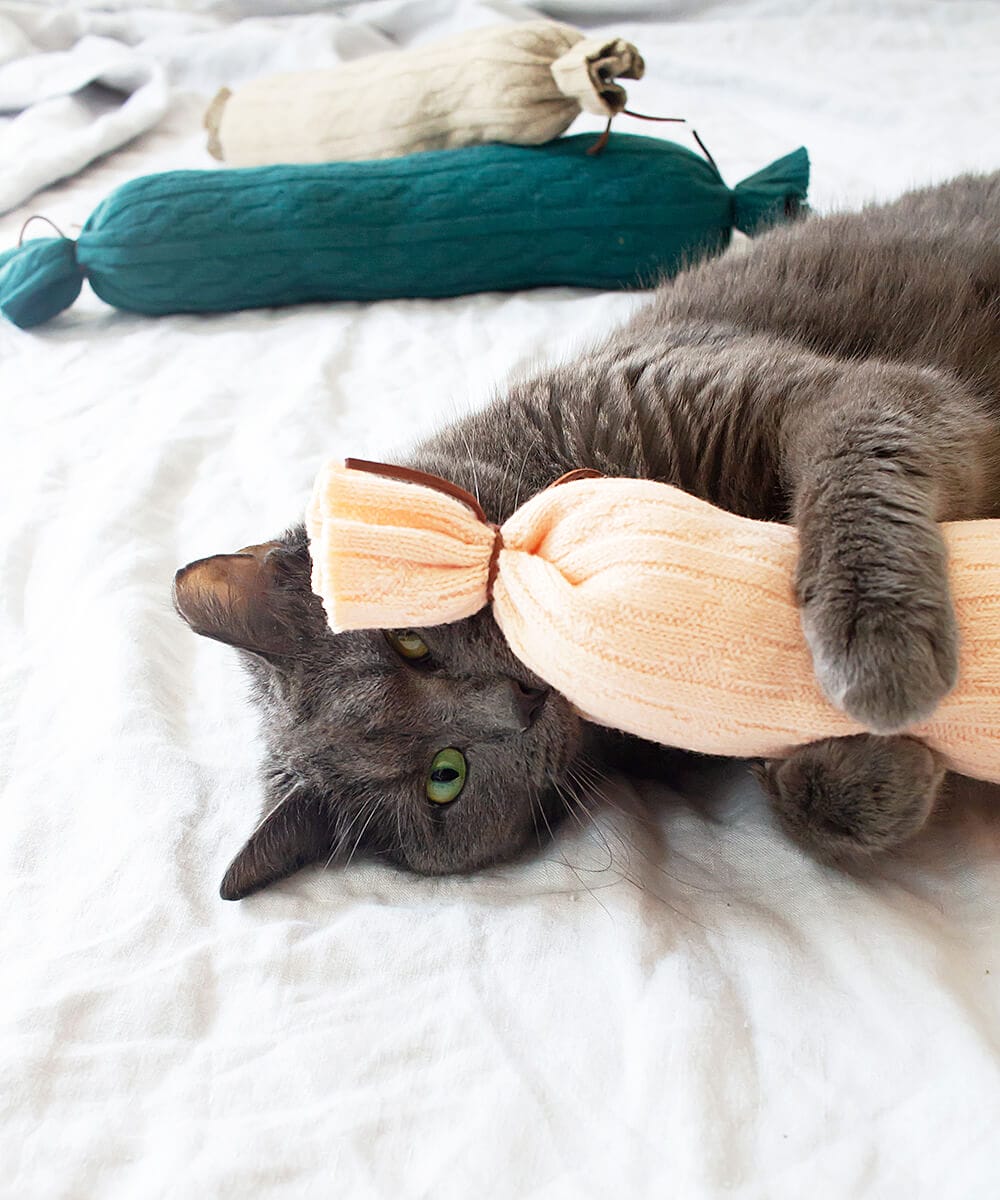 5 Easy DIY Catnip Toys Your Cats Will Love!