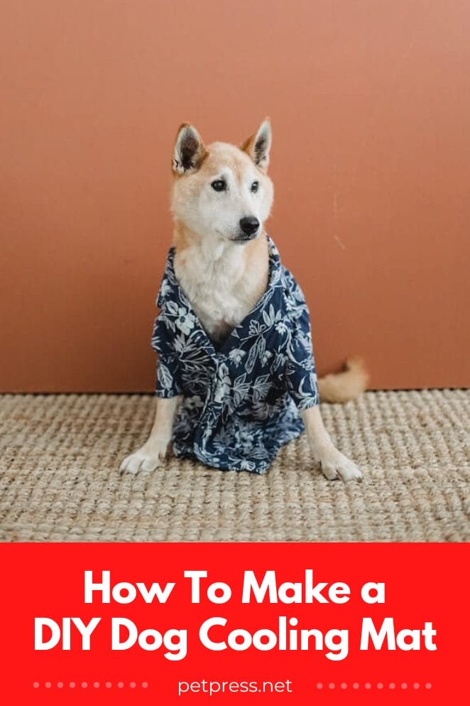 Cool Down Your Furbaby With A DIY Dog Cooling Mat