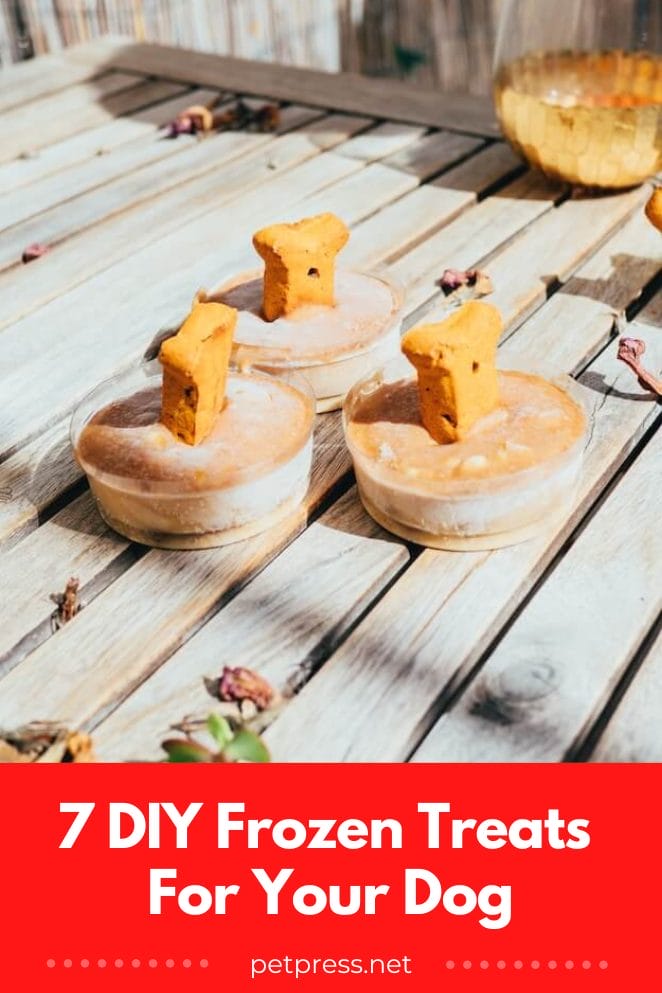 Chill Out With These 7 DIY Frozen Treats For Your Dog