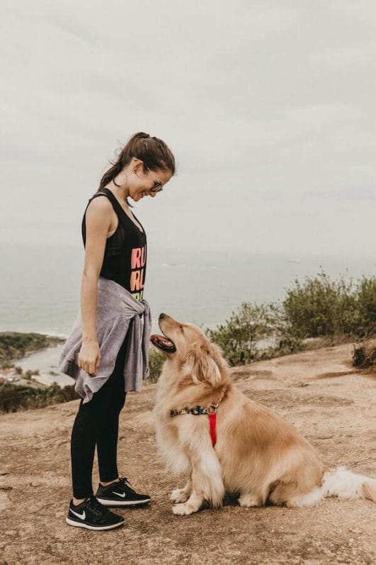 Why Are Dogs So Loyal Understanding The Man's Best Friend