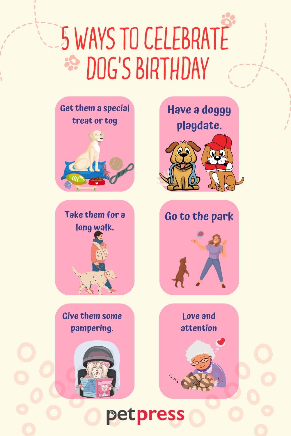 50+ Best Dog Birthday Quotes to Celebrate Your Furry Friend