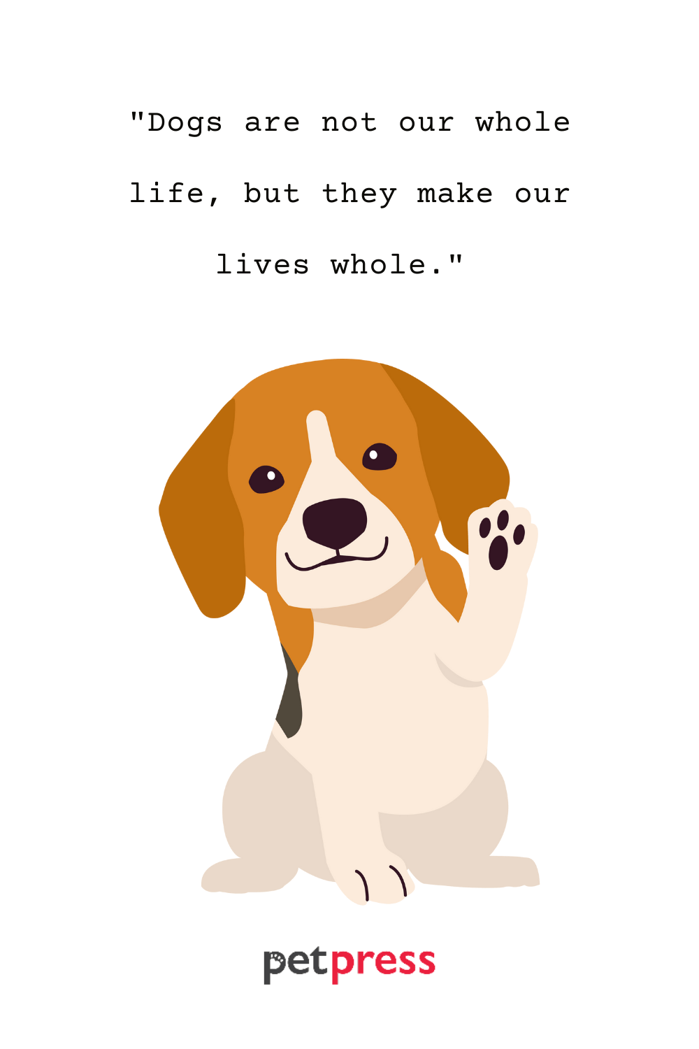 50+ Dog Best Friend Quotes that Prove Unconditional Love