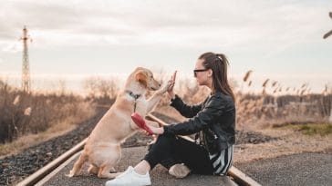 50+ Dog Best Friend Quotes that Prove Their Unconditional Love