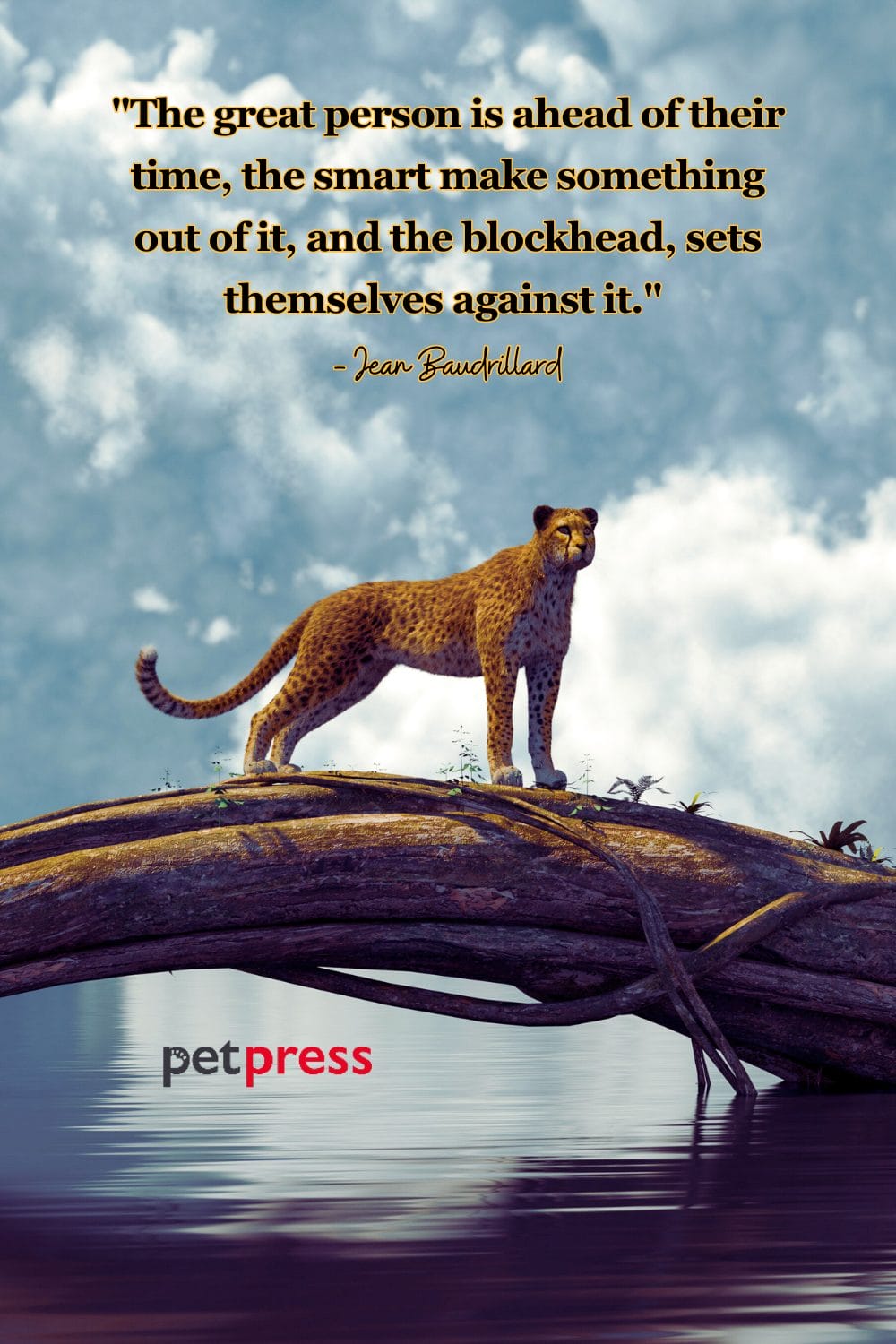 50+ Cheetah Quotes to Boost Your Success and Achievement PetPress