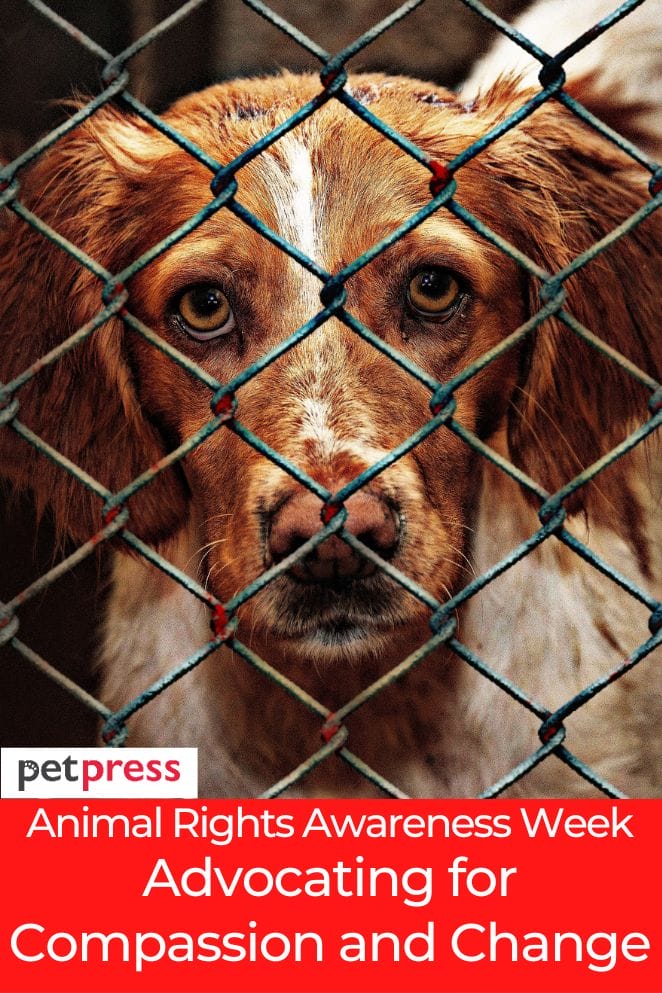 Animal Rights Awareness Week