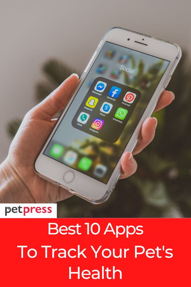Best app to track your pet's health