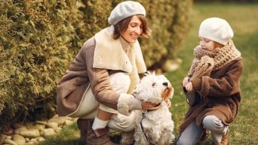 Best dog breeds for families