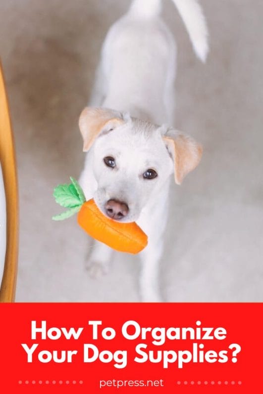 How to Organize Your Dog Supplies Like a Pro 14 Inspiring Ideas