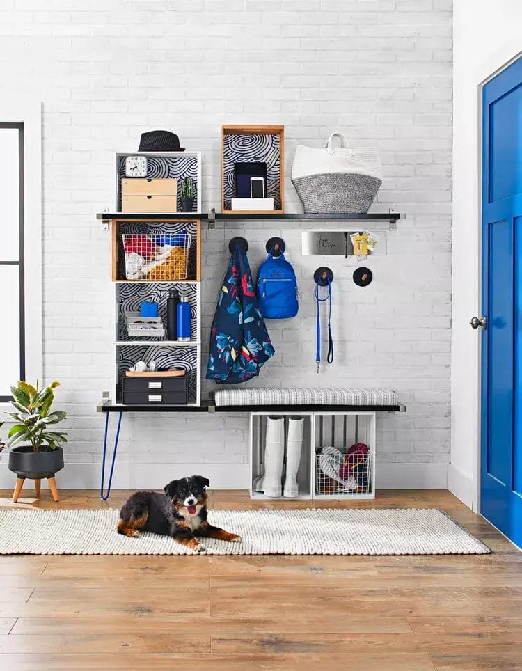 How to Organize Your Dog Supplies Like a Pro 14 Inspiring Ideas