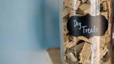 How to store dog food