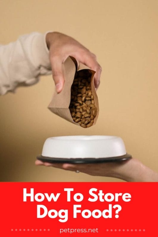 How To Store Dog Food & Keep It Fresh For A Long Time