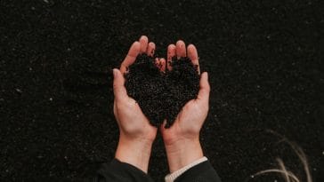 Is composting the future of pet burial