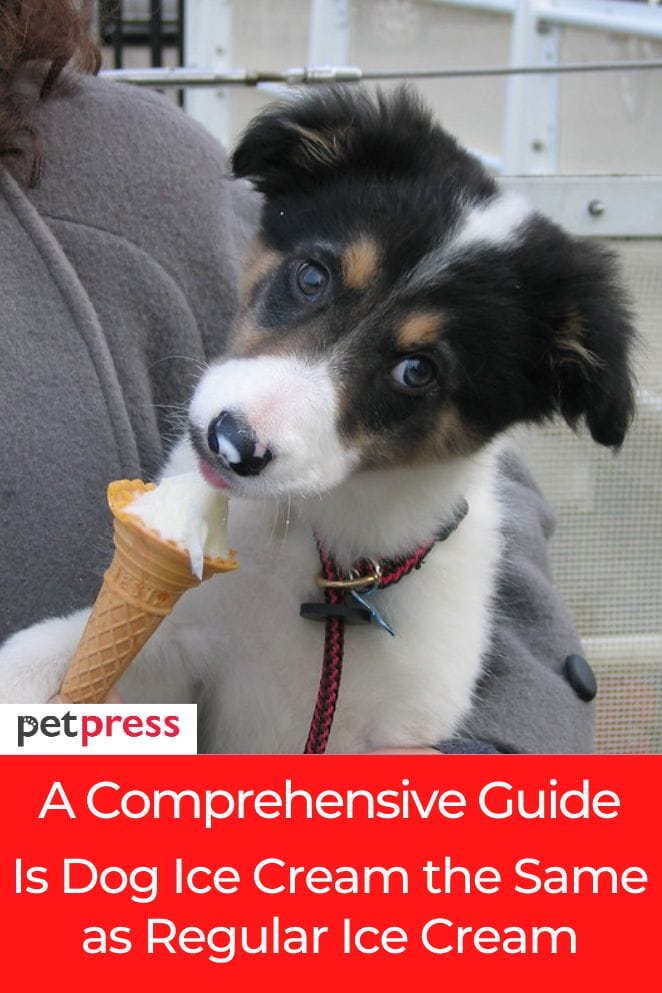 Is dog icecream the same as regular icecream