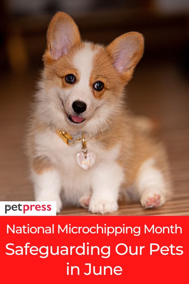 National Microchipping Month
