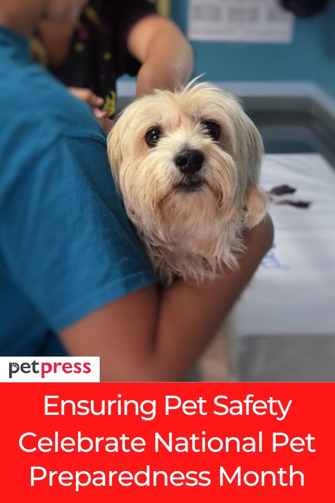 Ensuring Your Pet Safety National Pet Preparedness Month