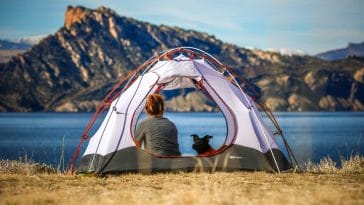 Packing list for taking your dog camping
