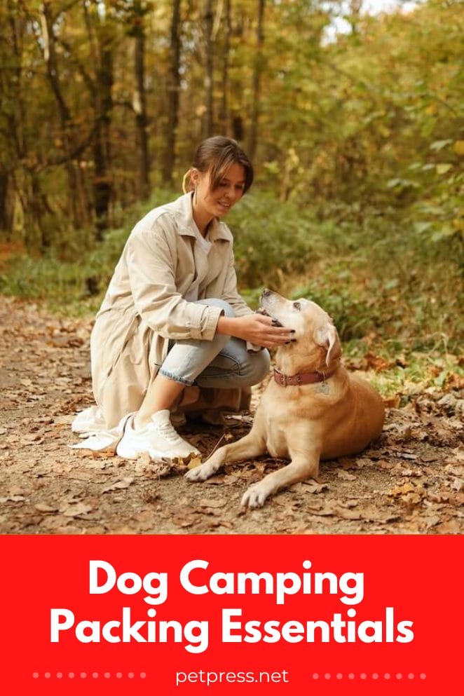 The Ultimate Packing List For Taking Your Dog Camping