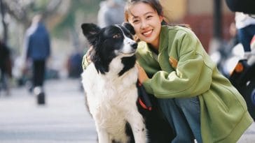 Strategies to Make your Dog Live Longer