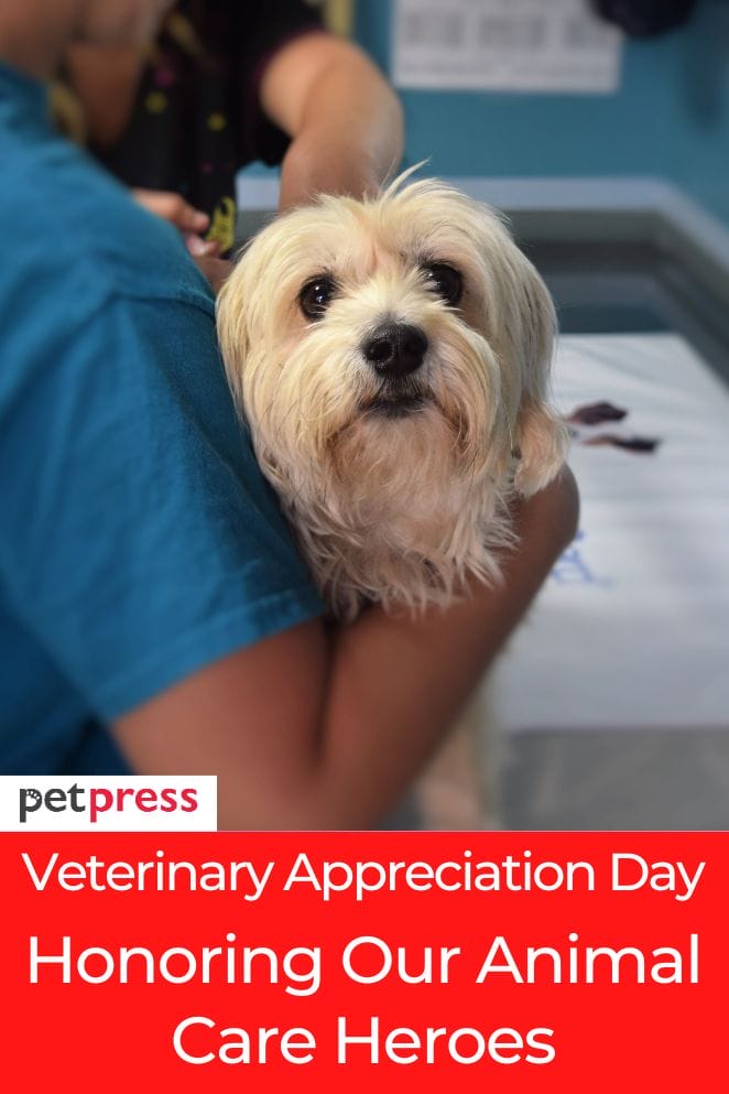 Veterinary Appreciation Day