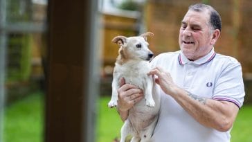Why it's good for seniors to get a dog