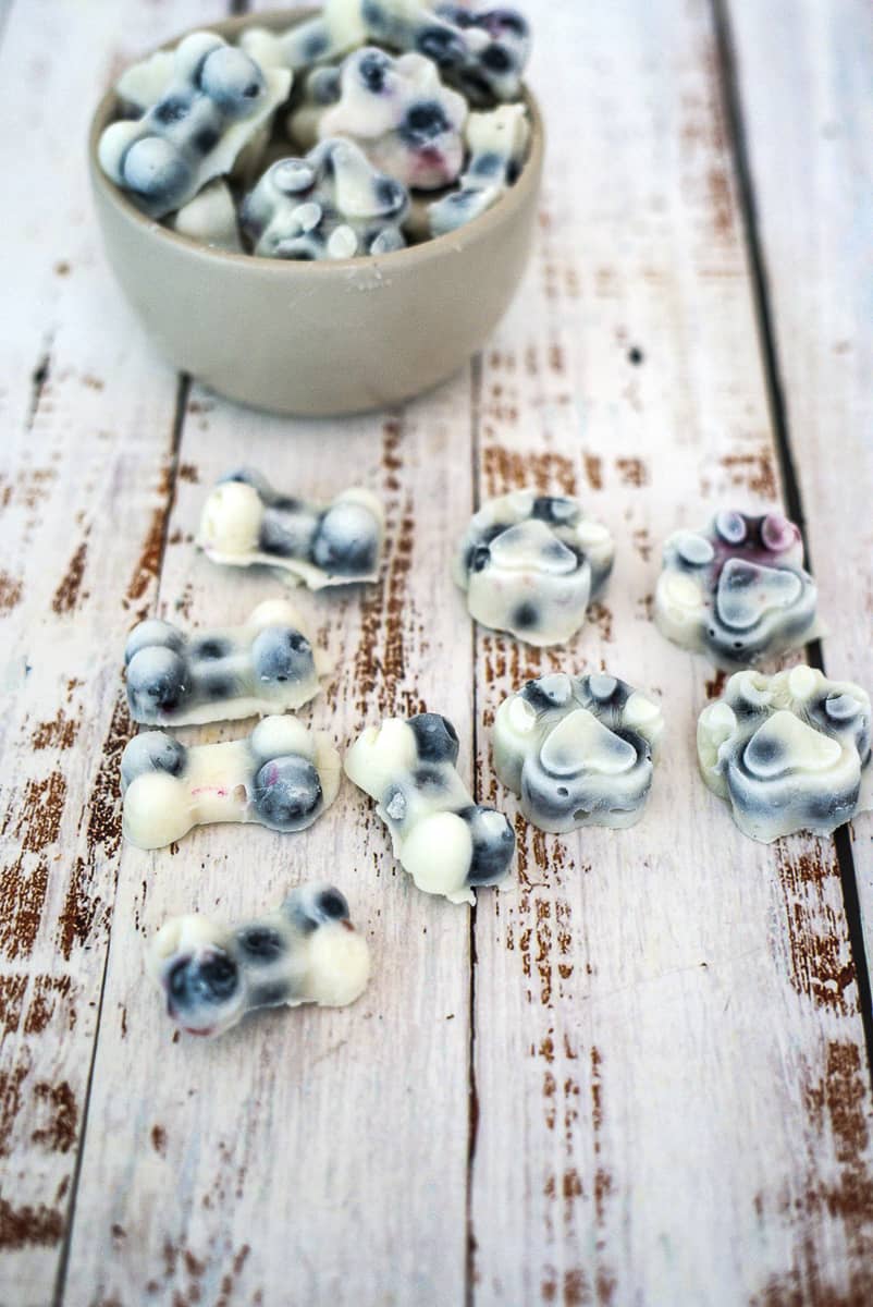 10 Best Homemade Dog Ice Cream Recipes for Your Furry Friend