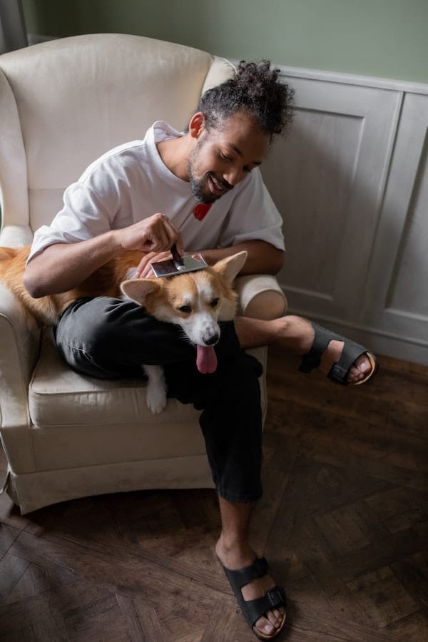 A Complete Guide What Happens if You Don't Brush Your Dog