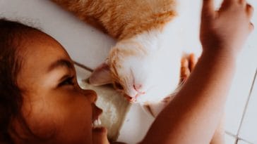 cat-lover