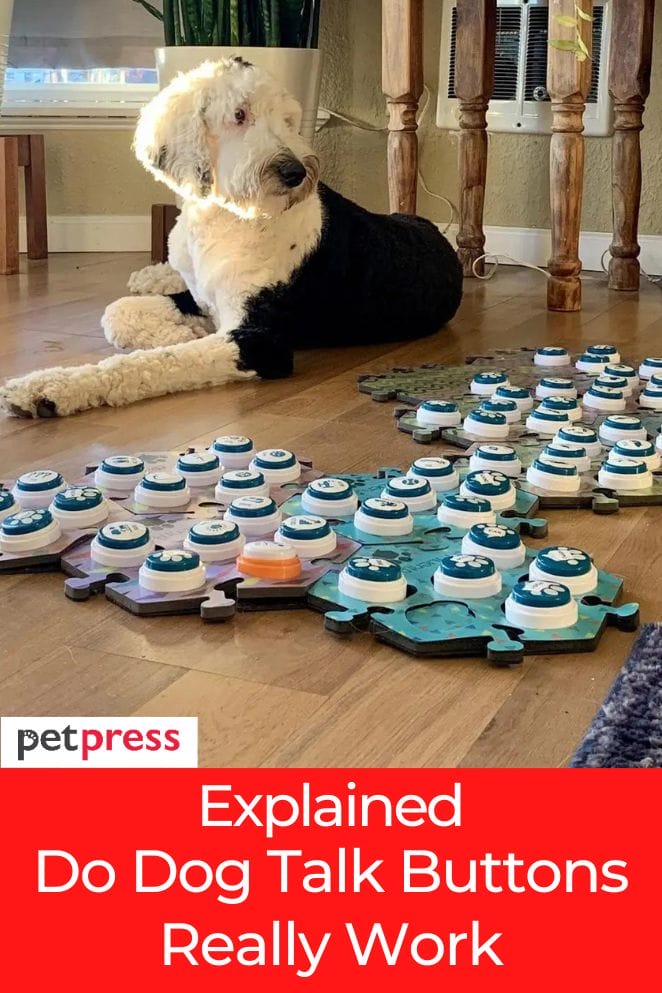 Detailed Explanation Do Dog Talk Buttons Really Work?