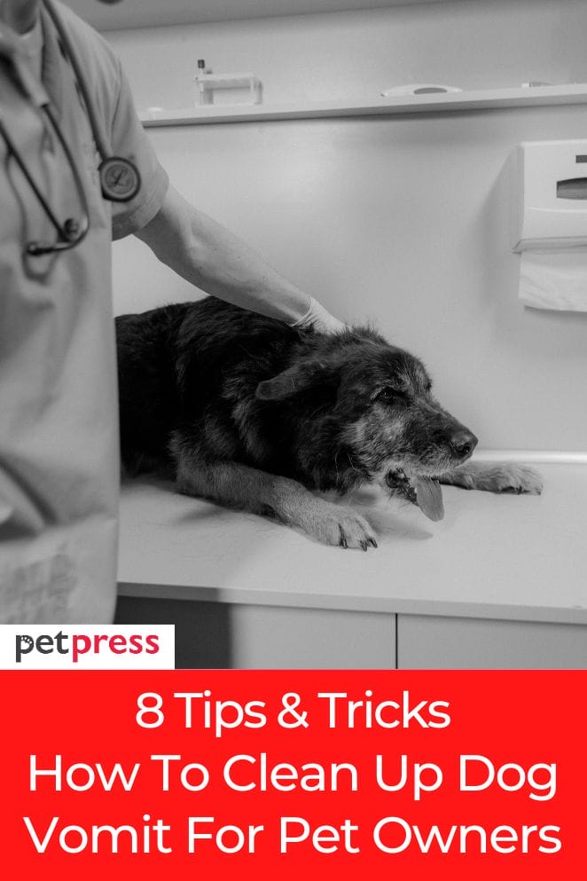 The Art of Cleaning Up Dog Vomit 8 Tips and Tricks for Pet Owners