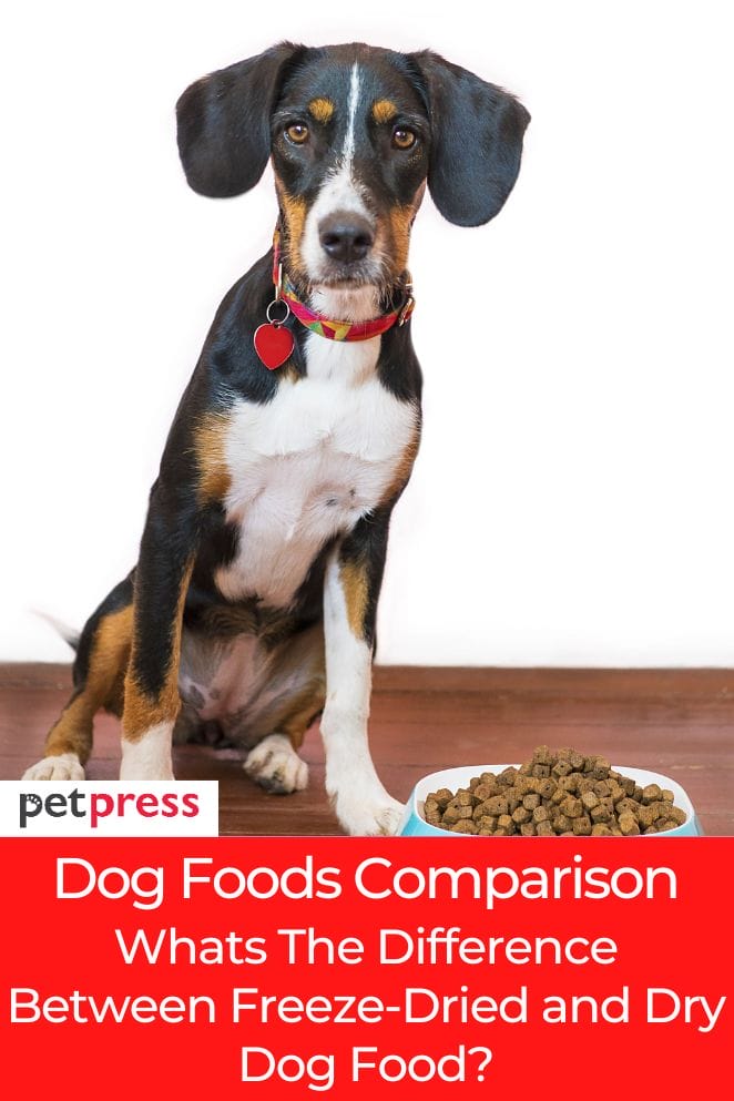 difference between freeze dried and dry dog food