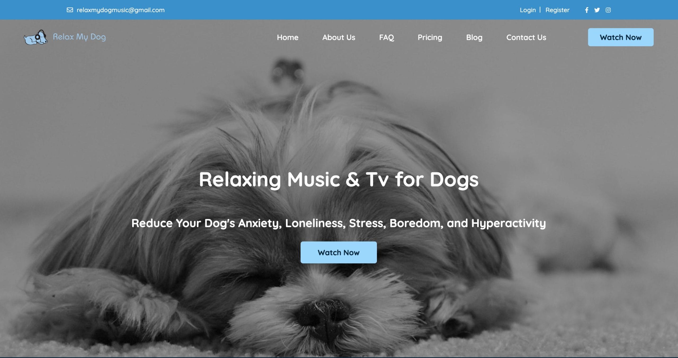 relaxmydog