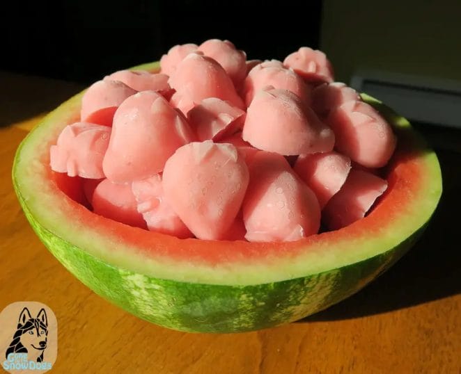 watermelon-strawberries-dog-ice-cream