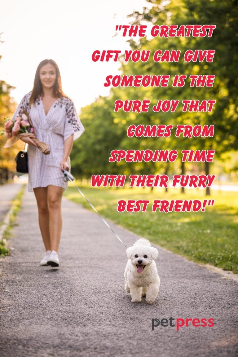 60 Inspiring Dog Life Quotes To Live A Happier And Fulfilling Life