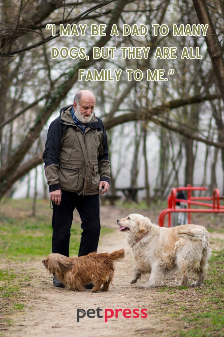 Celebrating Fatherhood 50+ Heartfelt Dog Dad Quotes PetPress