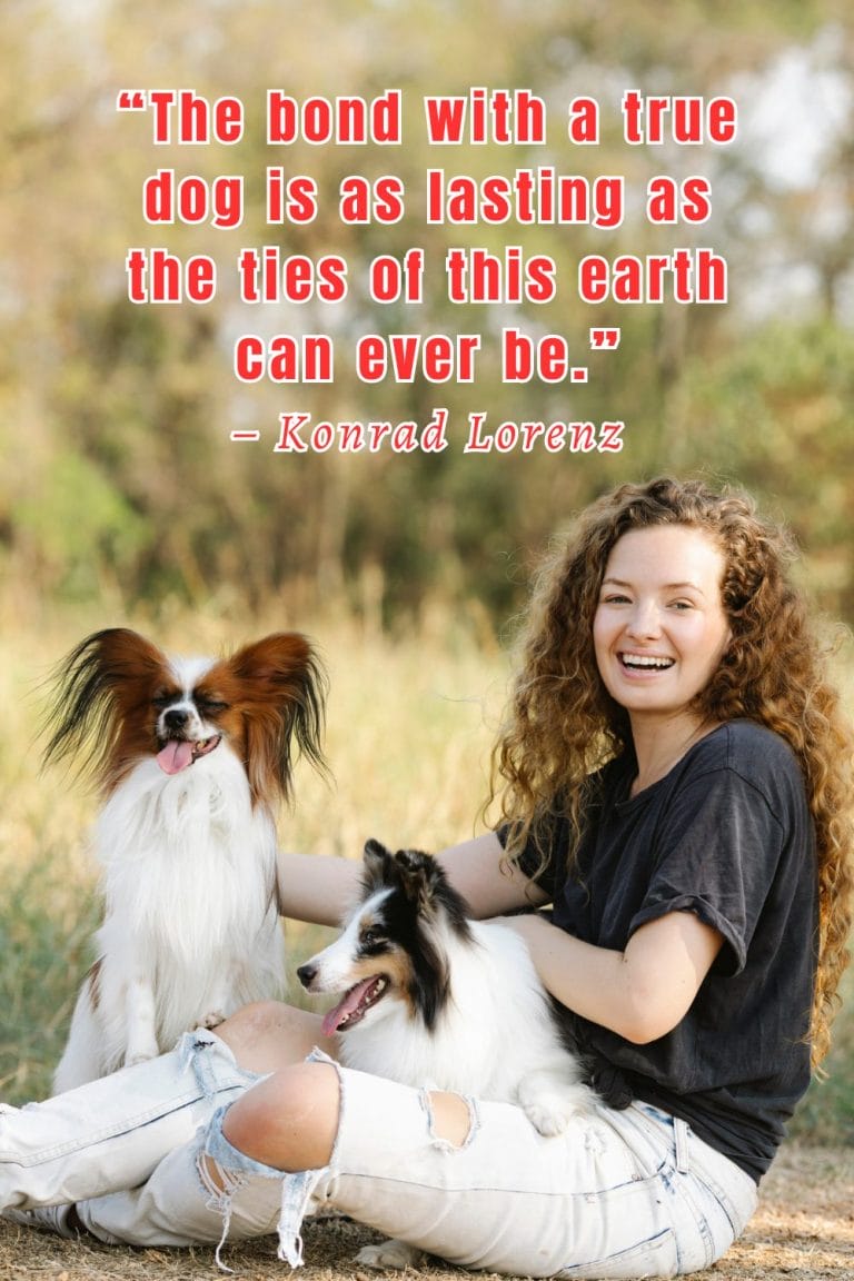 60 Inspiring Dog Life Quotes To Live A Happier And Fulfilling Life
