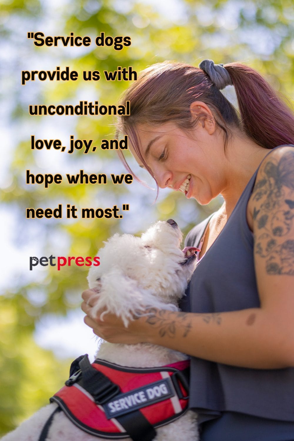 Tap Into Life Wisdom With the Top 50 Best Service Dog Quotes