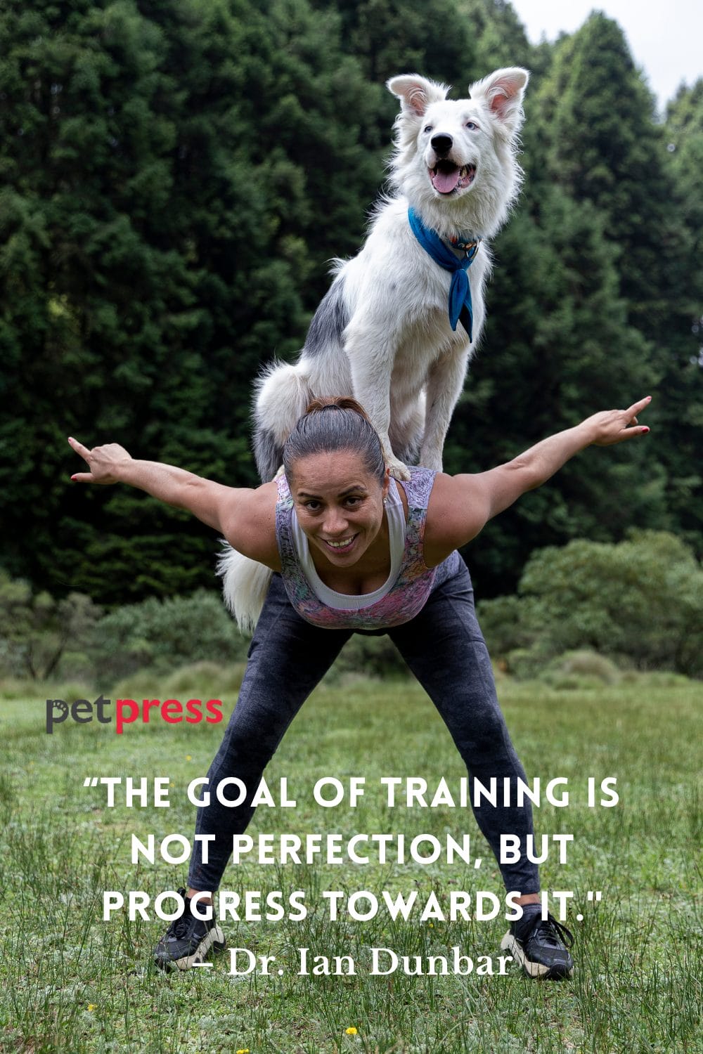 50+ Inspiring Dog Training Quotes That Will Motivate You