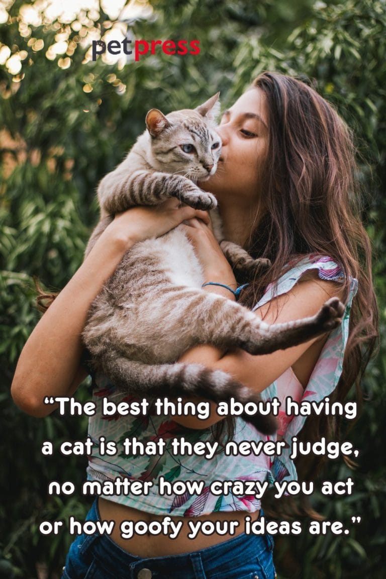 50+ Best Cat Lady Quotes That Inspire to Embrace Dreams