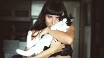 50+ Best Cat Lady Quotes That Inspire to Embrace Dreams