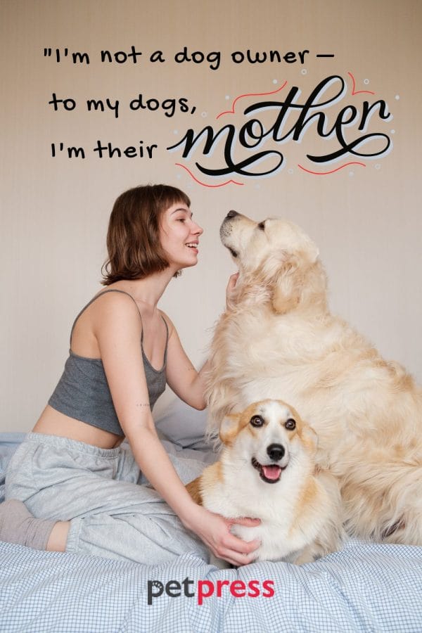 50+ Best Dogs Are Family Quotes on Recognizing Their Loyalty