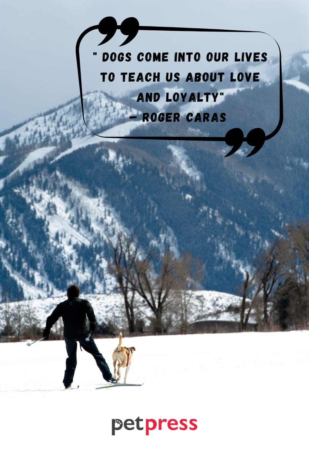 Inspiring Dog Friendship Quotes