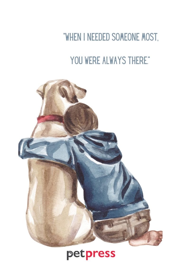 50+ Best Dog Passing Quotes to Cherish Memories PetPress