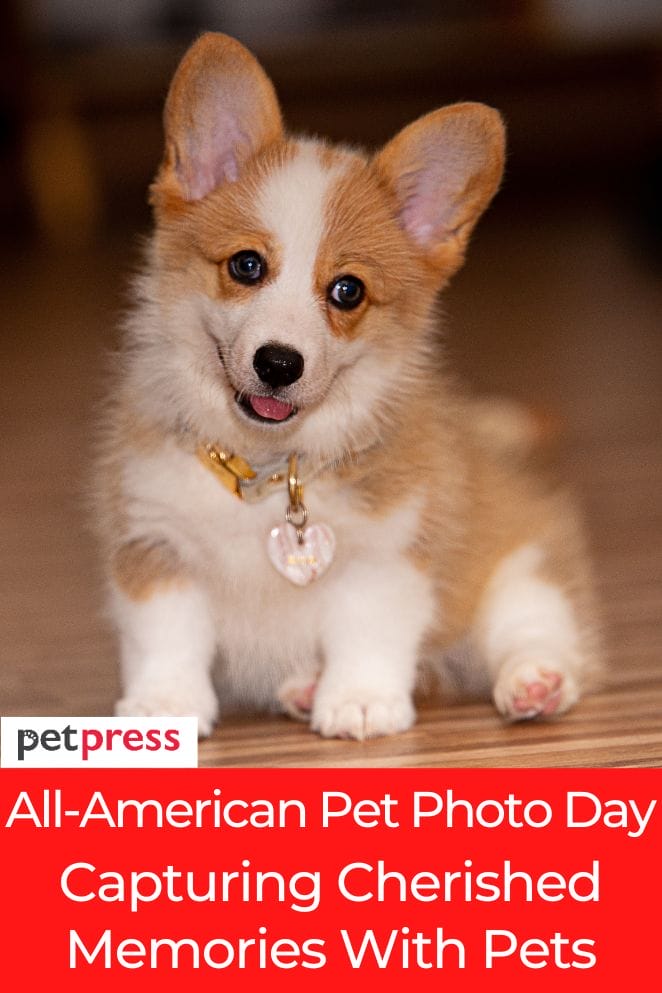 All-American Pet Photo Day