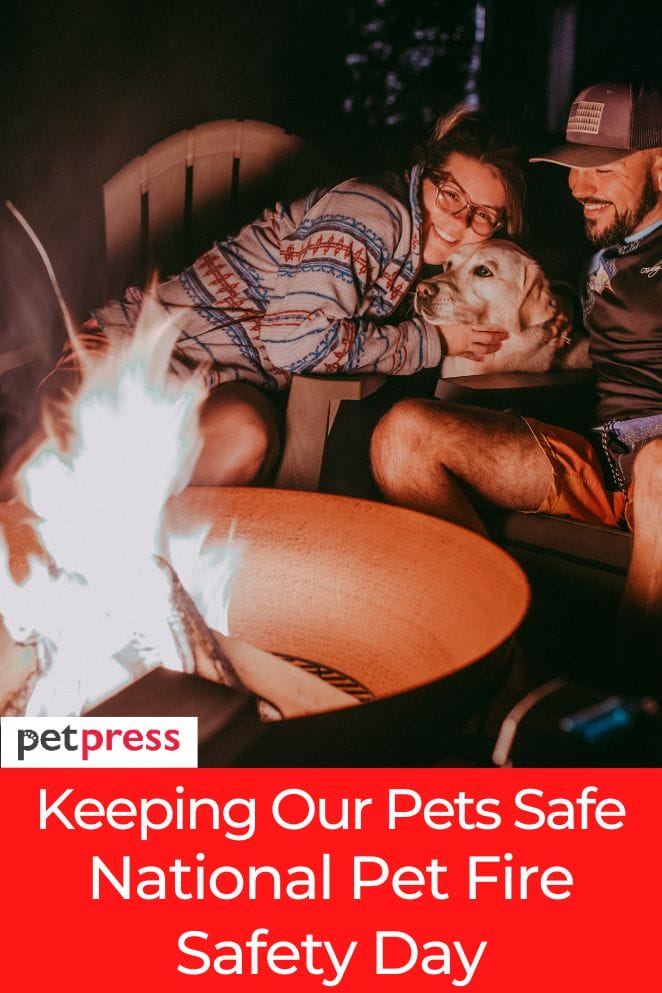 National Pet Fire Safety Day