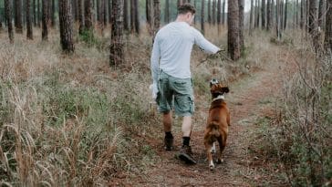 Top 50 Dog Owner Quotes on the Power of Love and Devotion