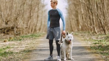 best dog breeds for runners