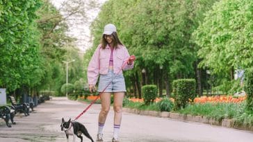 how to pick up dog poop