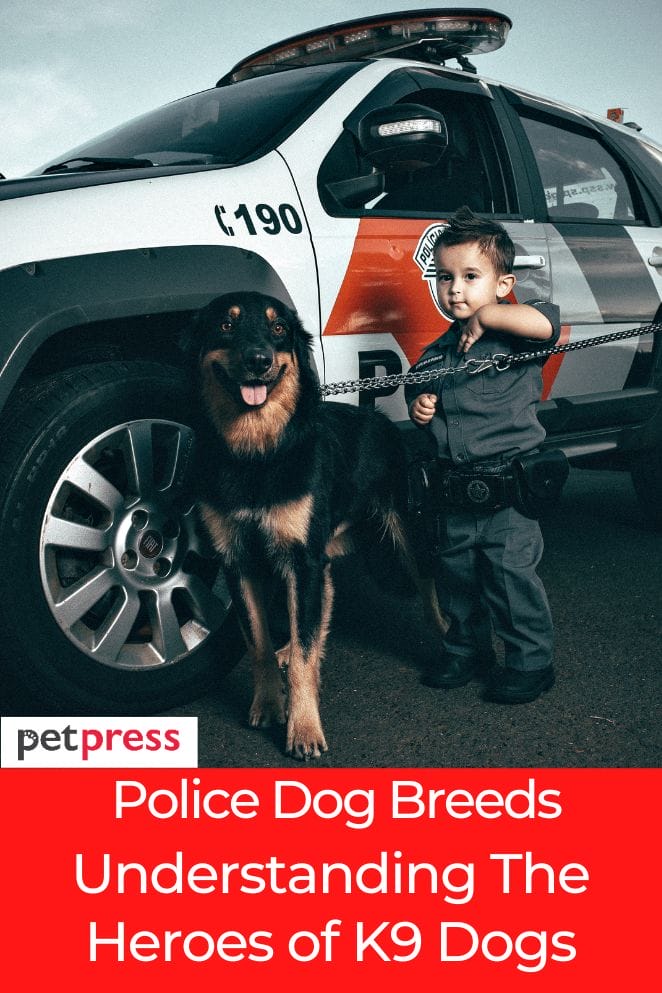 what breed are police dogs