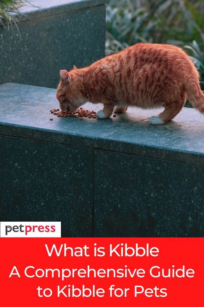 what is kibble