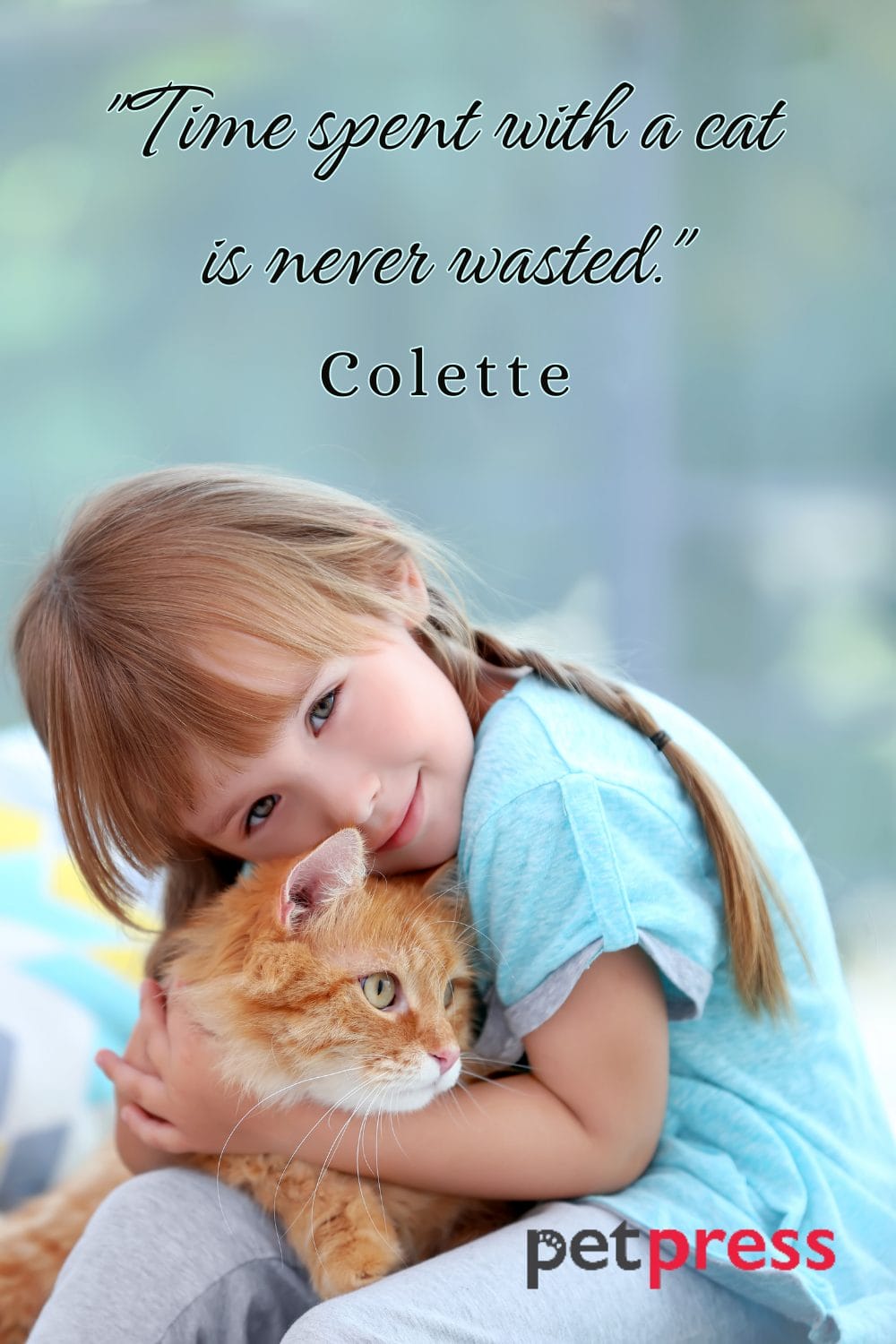 Decoding the 50+ Best Cats Unconditional Love Quotes PetPress